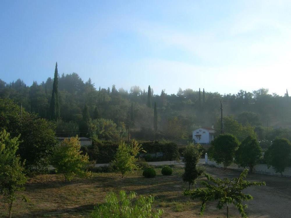 סידריון Marina Studios מראה חיצוני תמונה
